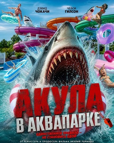 Акула в аквапарке (2026) торрент